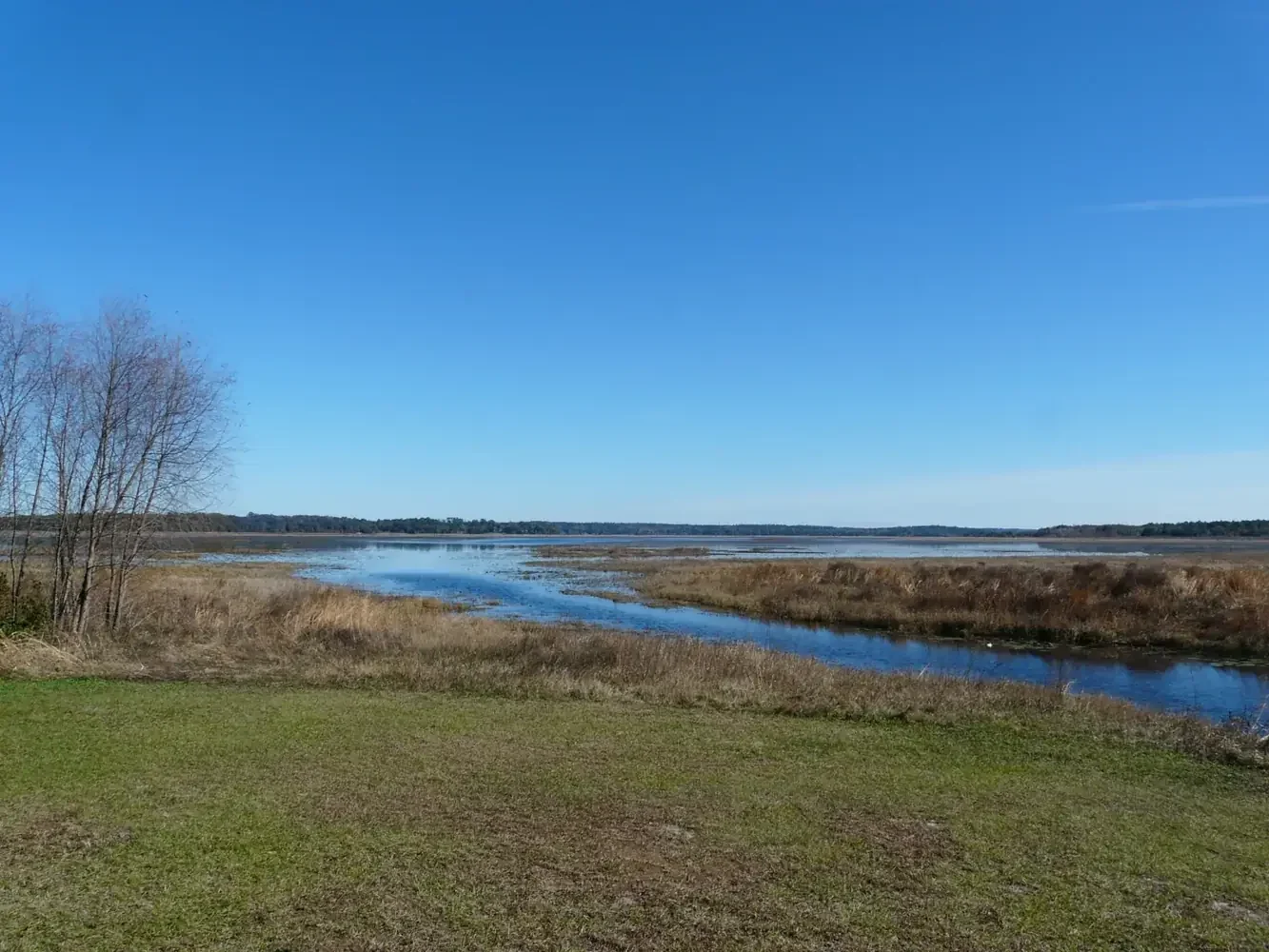 Lake Jackson viewed from Sunset Landing, Leon County